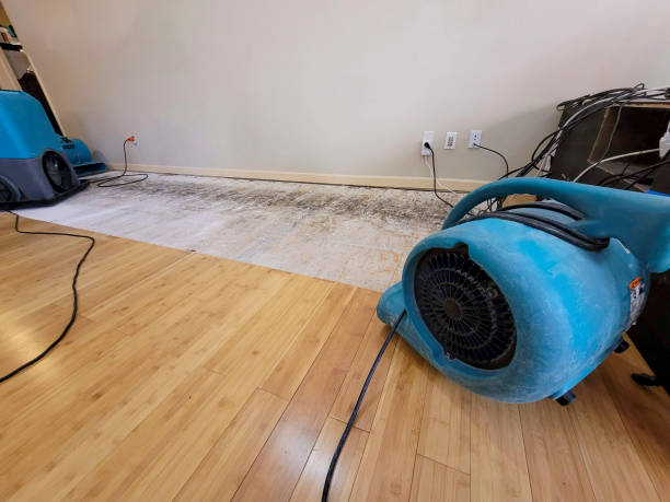 Professional Flood Damage Cleanup technician working in Remus, MI